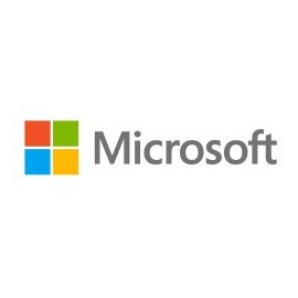 Microsoft Windows Server Standard 2022