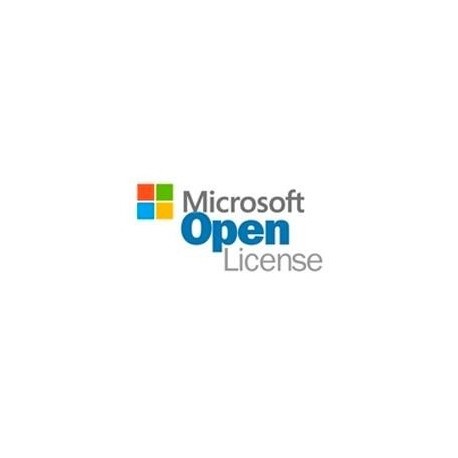 Open business office profesional plus 2019 sngl olp