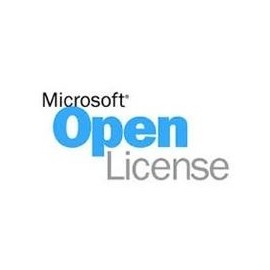Open business upgrade sngl windows 10 pro