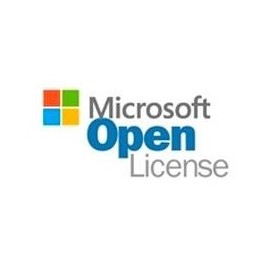 Open business visio pro 2019 sngl olp nl