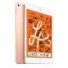Ipad Mini Apple MUXE2LZ/A 5 Wi-Fi + Celular 256GB Oro