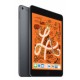 Ipad Mini Apple MUXC2LZ/A 5 Wi-Fi + Celular 256GB Gris Espacial