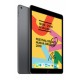Ipad 7 Apple MW742LZ/A Wi-Fi 32 GB Gris espacial