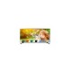 TV LG 43LF5900 LED 43" FullHD SmartTv WebOS 2.0 HDMI USB